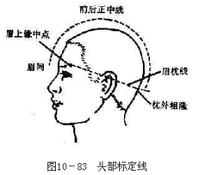 关于临床医学系《针灸学》理教学体会的硕士学位毕业论文范文