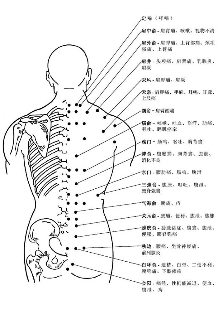 功能说明:定喘穴,肩中俞穴,肩外俞穴,肩井穴,秉风穴,天宗穴,臑俞穴,膈