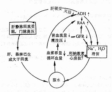 见钱化水的原理是什么_上环是什么原理图片(2)