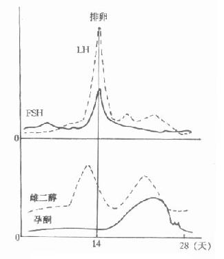 女性体温随月经周期发生变动,可能与下列哪种激素有关